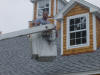 Lee Harris (Owner) in the bucket truck!